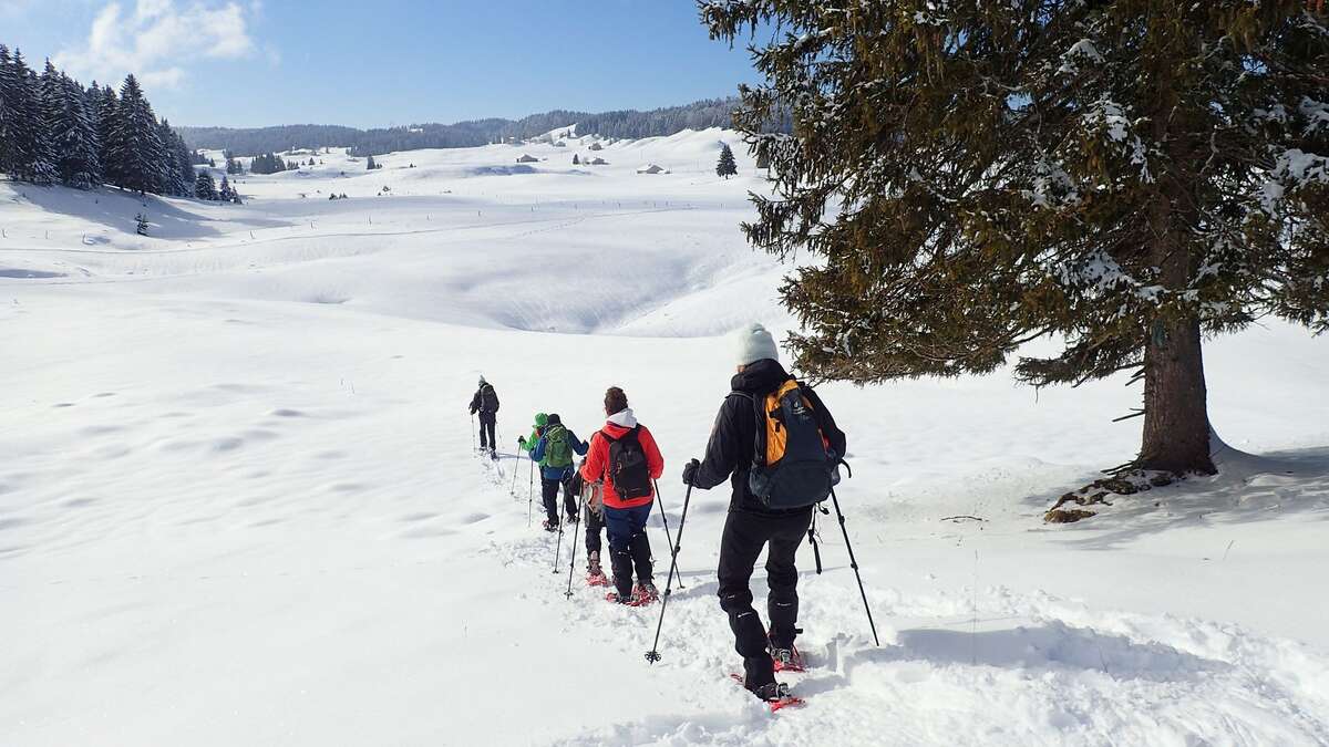 Réservation raquettes neige/ski – La neige est de retour