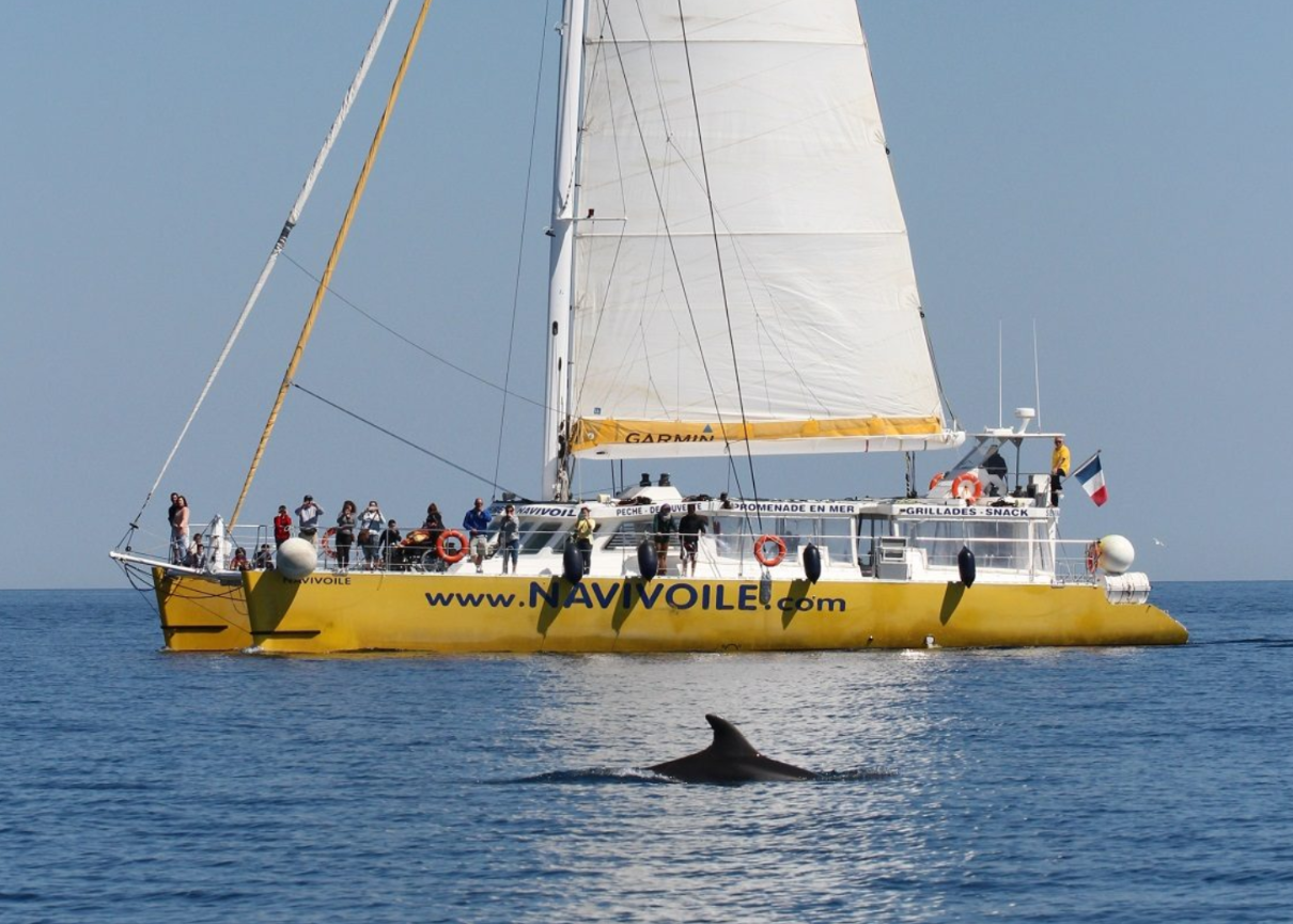 CAES – Proposition navigation NAVIVOILE