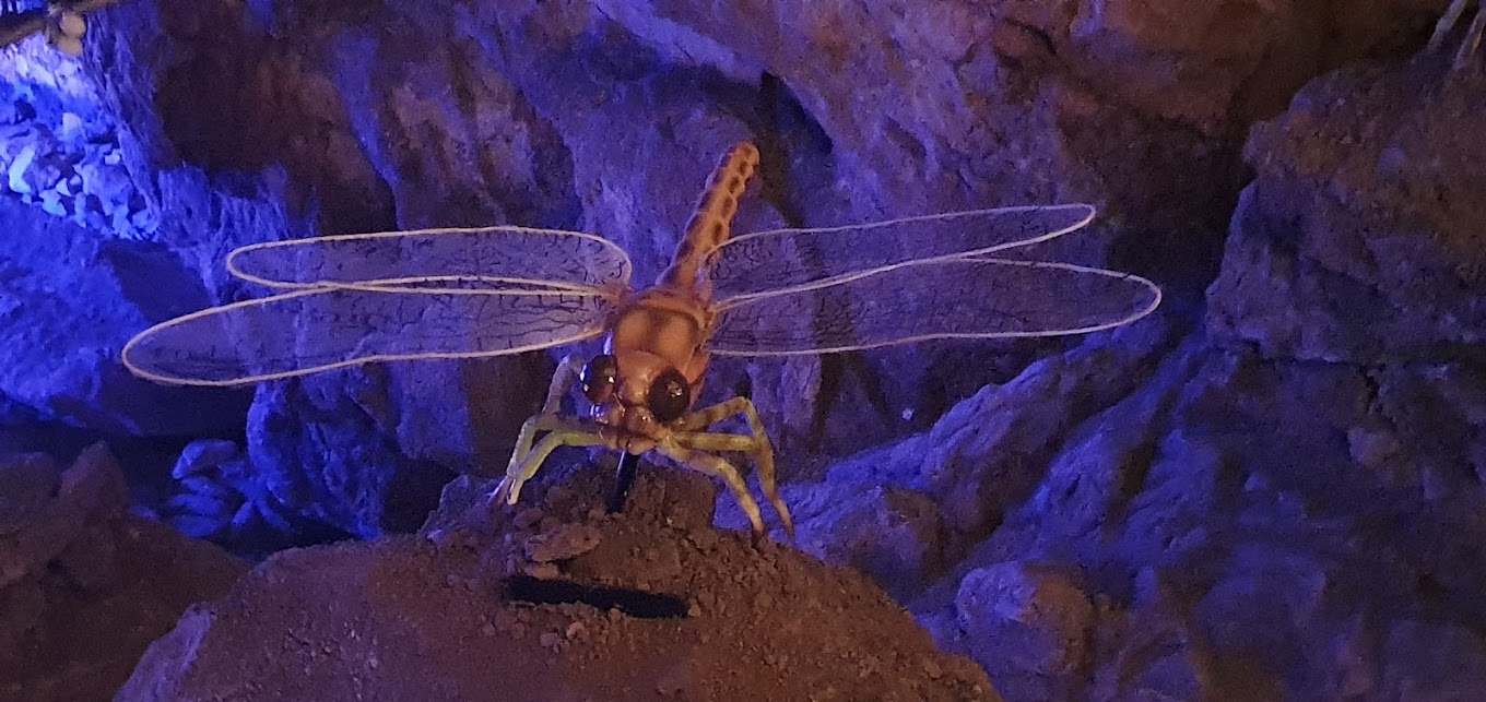 DINOPEDIA – La grotte Cova Bastera  – Villefranche de Conflent